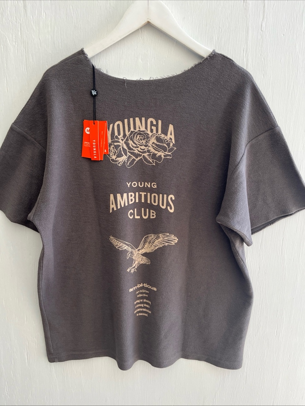 YoungLa Young Ambitious Club Brown Jersey Knit Top Reversible Unisex M NWT